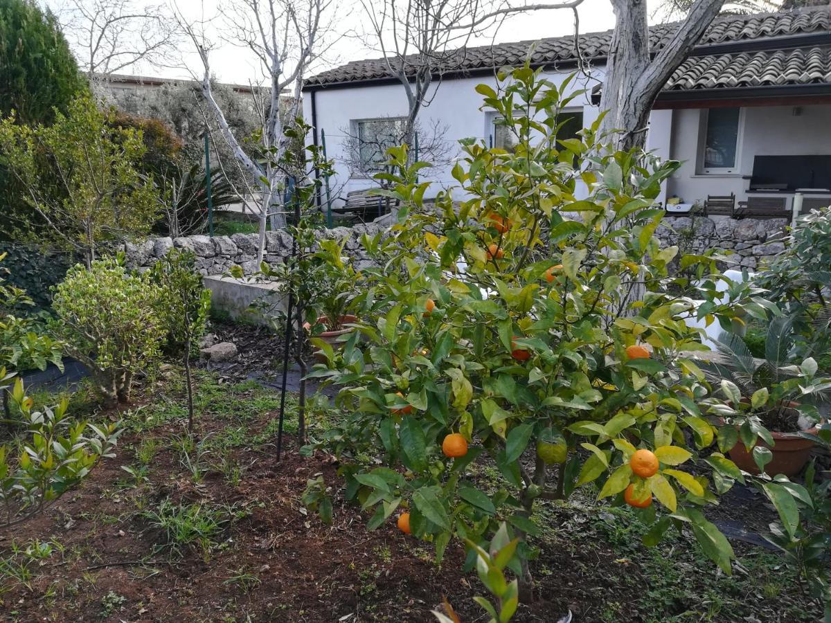 Casa Degli Avi Don Neli, Immersa Nella Natura Modica Eksteriør bilde