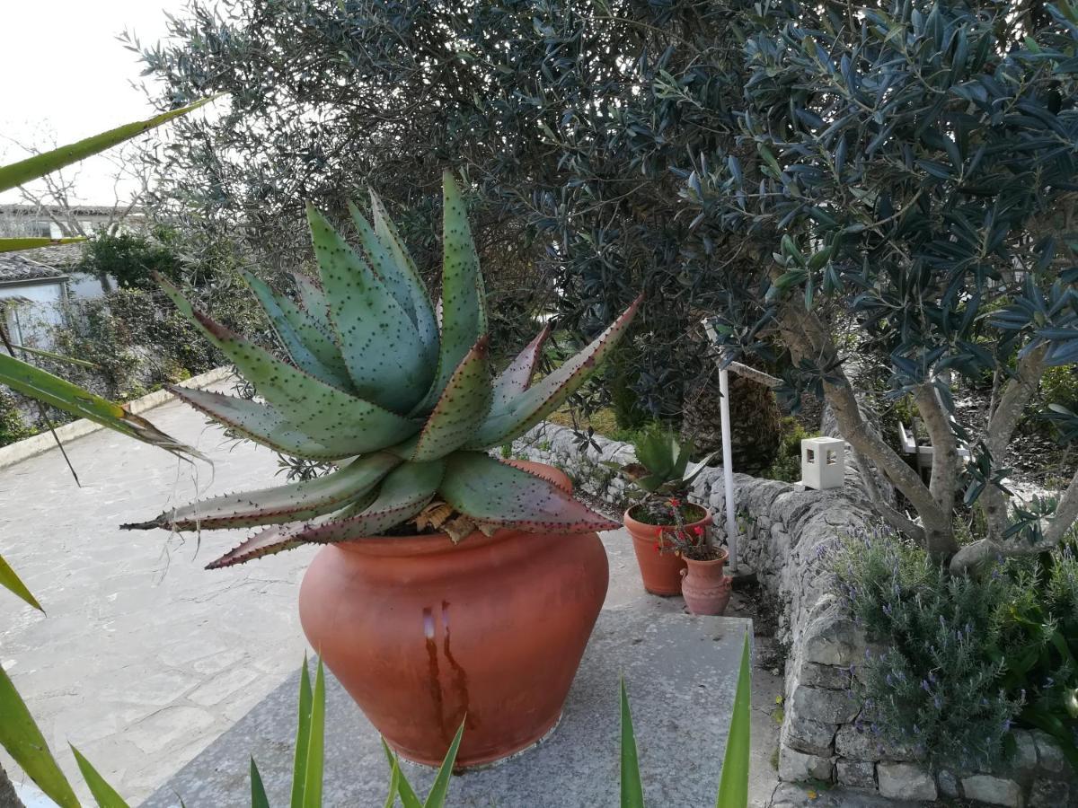 Casa Degli Avi Don Neli, Immersa Nella Natura Modica Eksteriør bilde