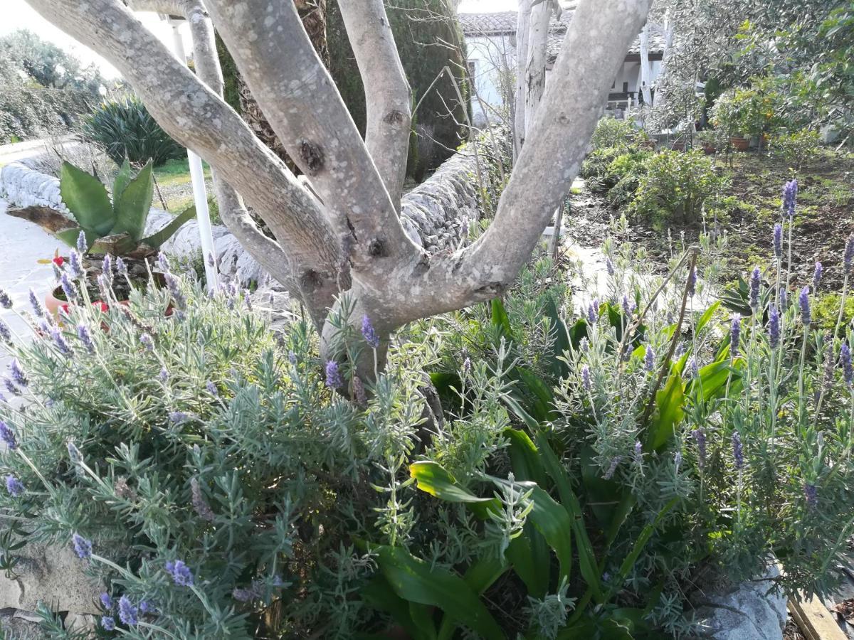 Casa Degli Avi Don Neli, Immersa Nella Natura Modica Eksteriør bilde