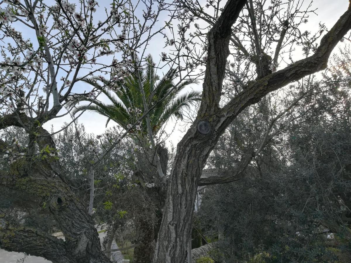 Casa Degli Avi Don Neli, Immersa Nella Natura Modica Eksteriør bilde